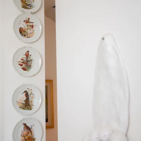Bed & Breakfast La Casetta Nel Bosco