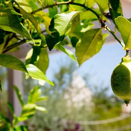 Alojamento de Acomodação e Pequeno-almoço La Casetta Nel Bosco